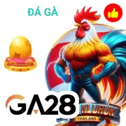 dr88 Game 09